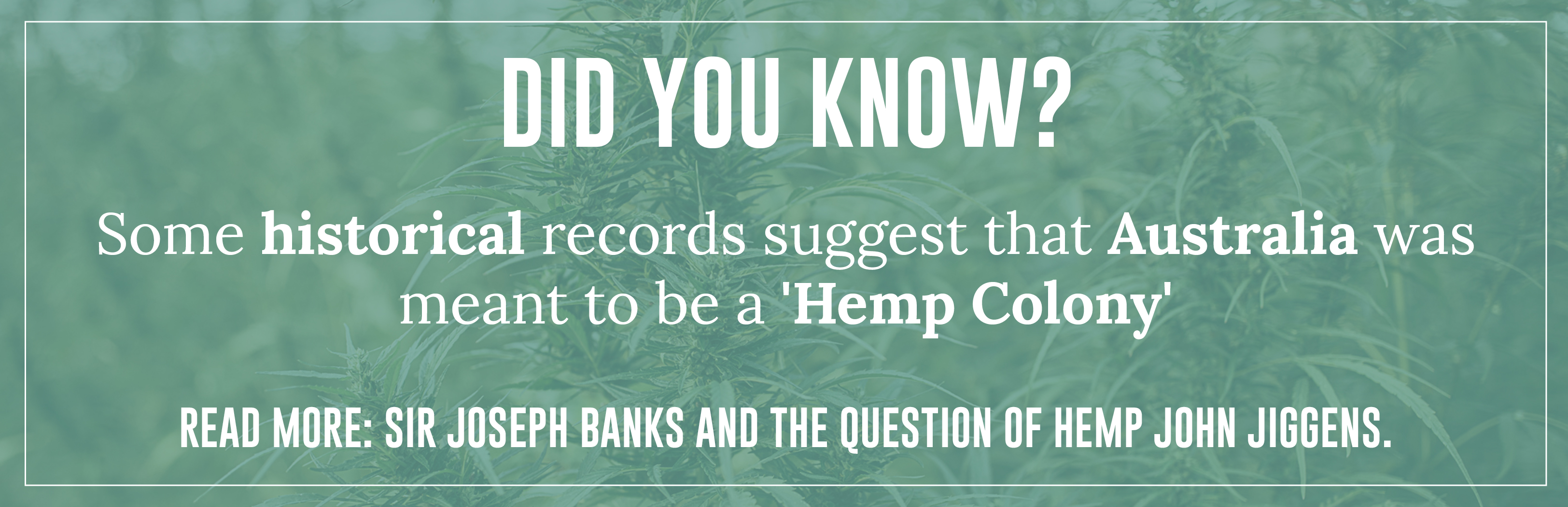 Some historical records suggest that Australia was meant to be a 'Hemp Colony'