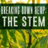 Breaking Down Hemp: The Stem